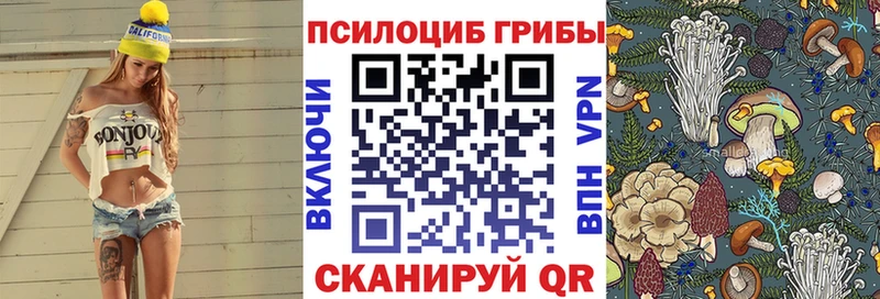 маркетплейс клад  Сибай  Галлюциногенные грибы Psilocybe 